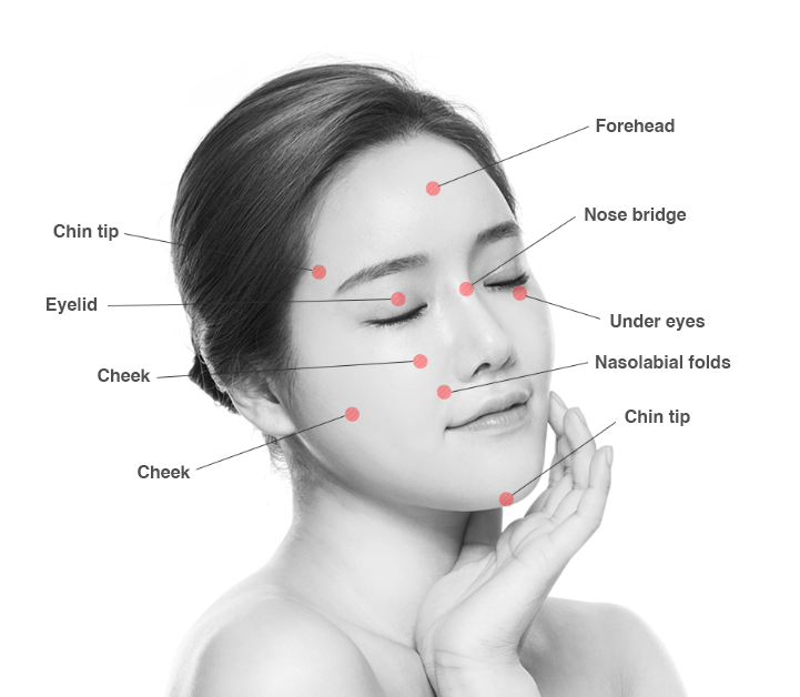 An image describing the face areas focused on in the face grafting process at Lydian